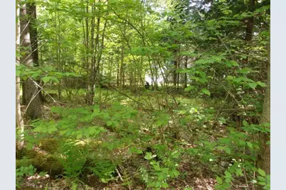 Lincoln Way #89, Haverhill, NH 03785 - Photo 2