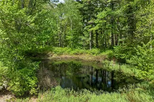 62 Lane Rd, Derry, NH 03038 - Photo 48