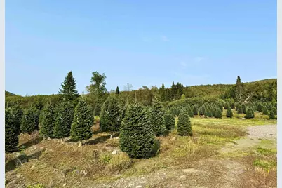 92 Bishop Brook Road, Stewartstown, NH 03576 - Photo 38