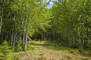 320 Hunt Mountain Rd, Monroe, NH 03771 - Photo 26