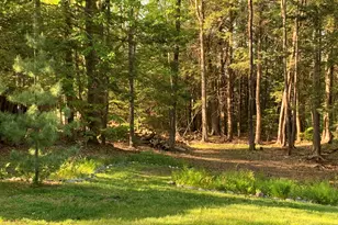 33 S Summer St, Nottingham, NH 03290 - Photo 44