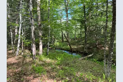 0 Peaked Hill Road, Bristol, NH 03222 - Photo 18