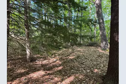 0 Peaked Hill Road, Bristol, NH 03222 - Photo 8