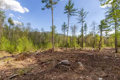 000 Elijah Beede Road, Sandwich, NH 03227 - Photo 4