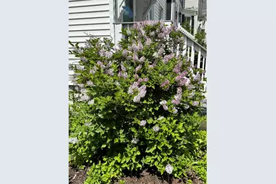 90 Centre Street, Concord, NH 03301 - Photo 28