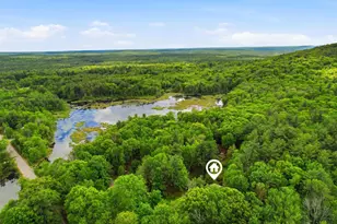 110 Podunk Rd, Candia, NH 03034 - Photo 52