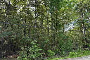 Lot 85 Currier Rd, Candia, NH 03034 - Photo 1