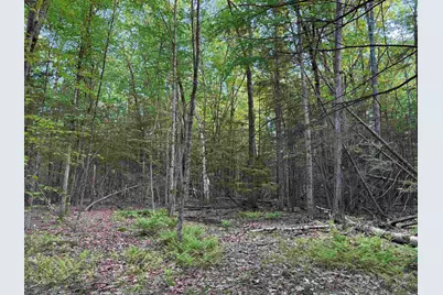 Lot 85 Currier Road, Candia, NH 03034 - Photo 14
