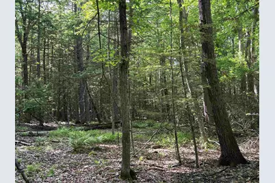 Lot 85 Currier Road, Candia, NH 03034 - Photo 6