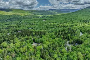 92 Joyce Dr, Carroll, NH 03595 - Photo 46