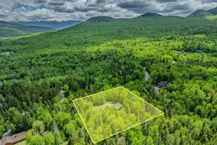 92 Joyce Dr, Carroll, NH 03595 - Photo 50