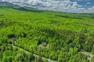 92 Joyce Dr, Carroll, NH 03595 - Photo 48