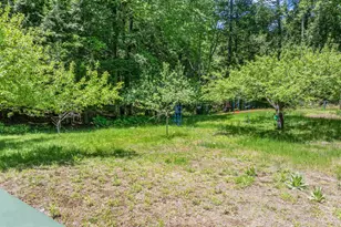 47 Forest Pond Rd, New Hampton, NH 03256 - Photo 14