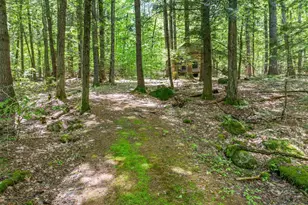47 Forest Pond Rd, New Hampton, NH 03256 - Photo 20