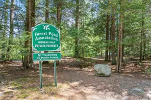 47 Forest Pond Rd, New Hampton, NH 03256 - Photo 32