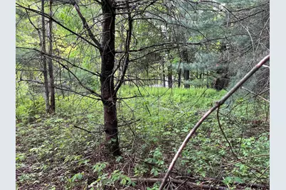 Map17-Lot 31&amp;33 River Road, Bath, NH 03740 - Photo 20