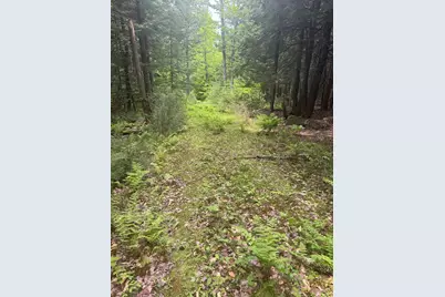 Lot 13 Beach Pond Road, Wolfeboro, NH 03894 - Photo 12