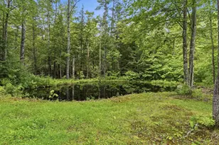 7077 Shaker Rd, Loudon, NH 03307 - Photo 10