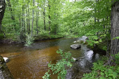 301 Mill Village Road, Goshen, NH 03752 - Photo 24