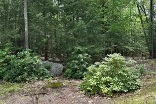 103 Boulder Dr, Dublin, NH 03444 - Photo 40