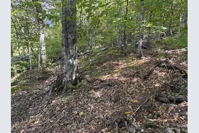 0 Taylor Drive, Campton, NH 03223 - Photo 10