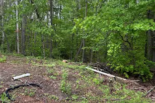 103 Mitchell Rd, Nottingham, NH 03290 - Photo 12