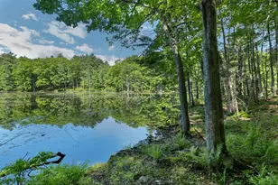 40 Norwood Rd, Salem, NH 03079 - Photo 14
