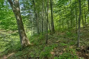 40 Norwood Rd, Salem, NH 03079 - Photo 16