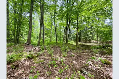 77-79 Province Road #Map 2 Lot 8 aka 77-79, Strafford, NH 03884 - Photo 4
