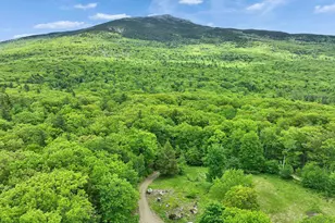 38 Shaker Farm Rd S, Marlborough, NH 03455 - Photo 2