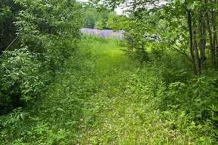 6 Button Rd, Jefferson, NH 03583 - Photo 52