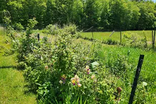 147 Church Rd, Unity, NH 03603 - Photo 46