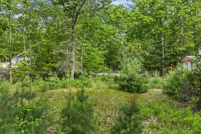 28 &amp; 34 Hanson Mill Road Lots #22 &amp; #23, Moultonborough, NH 03254 - Photo 22