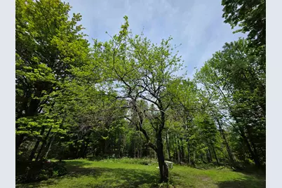 2731 Vt Rte 232, Marshfield,  05658 - Photo 4