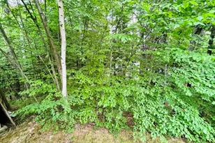50 Hoit Mill Rd, Weare, NH 03281 - Photo 28