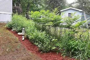 15 Loon Mountain Ln, Conway, NH 03813 - Photo 6