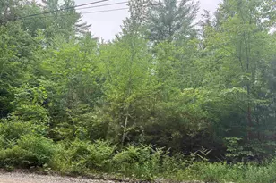 44 Huntington Dr, Hillsboro, NH 03244 - Photo 2