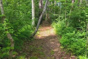 638 John Stark Hwy, Newport, NH 03773 - Photo 38