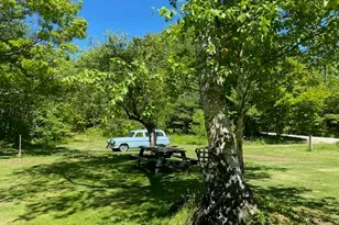 968 Faxon Hill Rd, Washington, NH 03280 - Photo 2