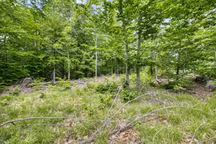 160 Browns Ridge Rd, Ossipee, NH 03864 - Photo 56