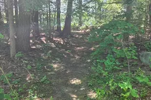 18 Gorham Dr, Dunbarton, NH 03046 - Photo 2