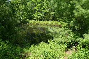 28 Island Rd, Deerfield, NH 03037 - Photo 48