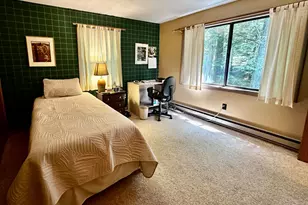 78 Greensward Dr, Grantham, NH 03753 - Photo 32