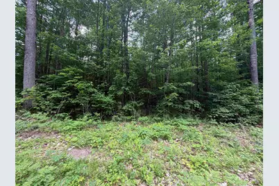 00 Rolling Ridge Road, Bartlett, NH 03812 - Photo 6