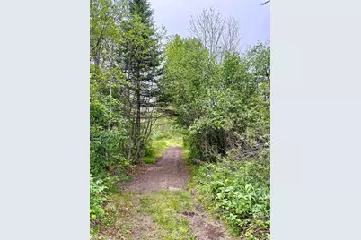 205 Whipple Road, Jefferson, NH 03583 - Photo 4