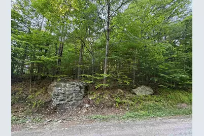 Scattered Timber Road, Wilmington, VT 05363 - Photo 2