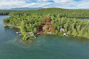 31 Pitchwood Island, Meredith, NH 03253 - Photo 4