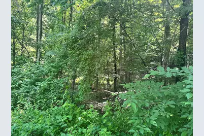 00 Mountain Road #Map 25, Block A, Lot 2.43 Lot Size 2.11, Chesterfield, NH 03466 - Photo 14