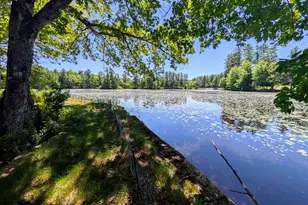 23 Penn Ave, Deerfield, NH 03037 - Photo 24