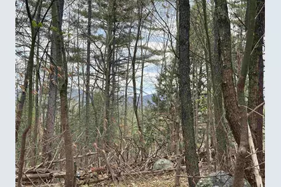 00 Snell Road, Chester, VT 05143 - Photo 4
